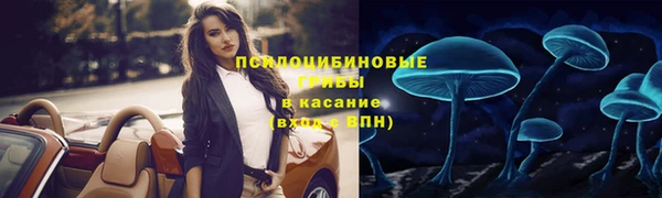 мдпв Арсеньев