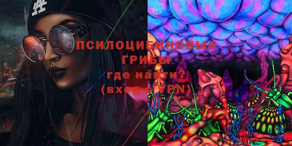 мдпв Арсеньев
